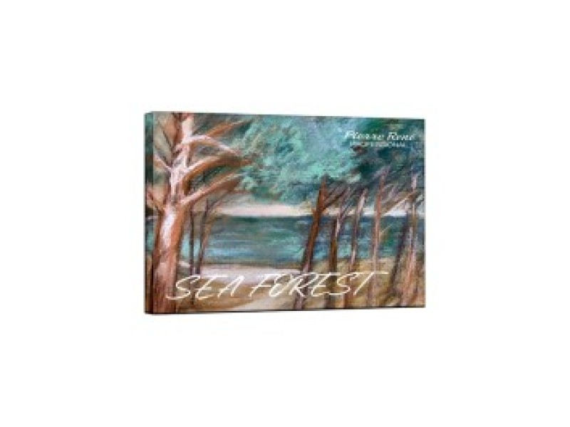 PIERRE RENE EYE SHADOW PALETTE SEA FOREST