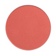 PIERRE RENE ART PALETTE MATCH SYSTEM 062