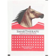 Smartherapy capsicum red plasters