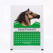 Smartherapy capsicum green plaster