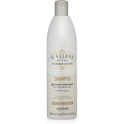 Alfaparf il salone shampoo dry damage hair 500ml