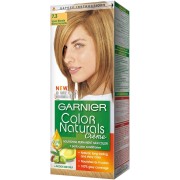 Garnier hair color hazel blonde 7.3