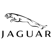 Jaguar for men eau de toilette 100ml vaporisateur spray