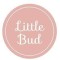 LITTLE BUD I ليتل بد